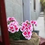 Da Miki * Chiomonte