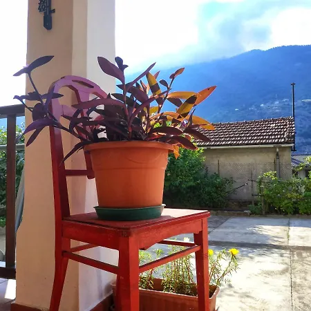 Apartment Da Miki *